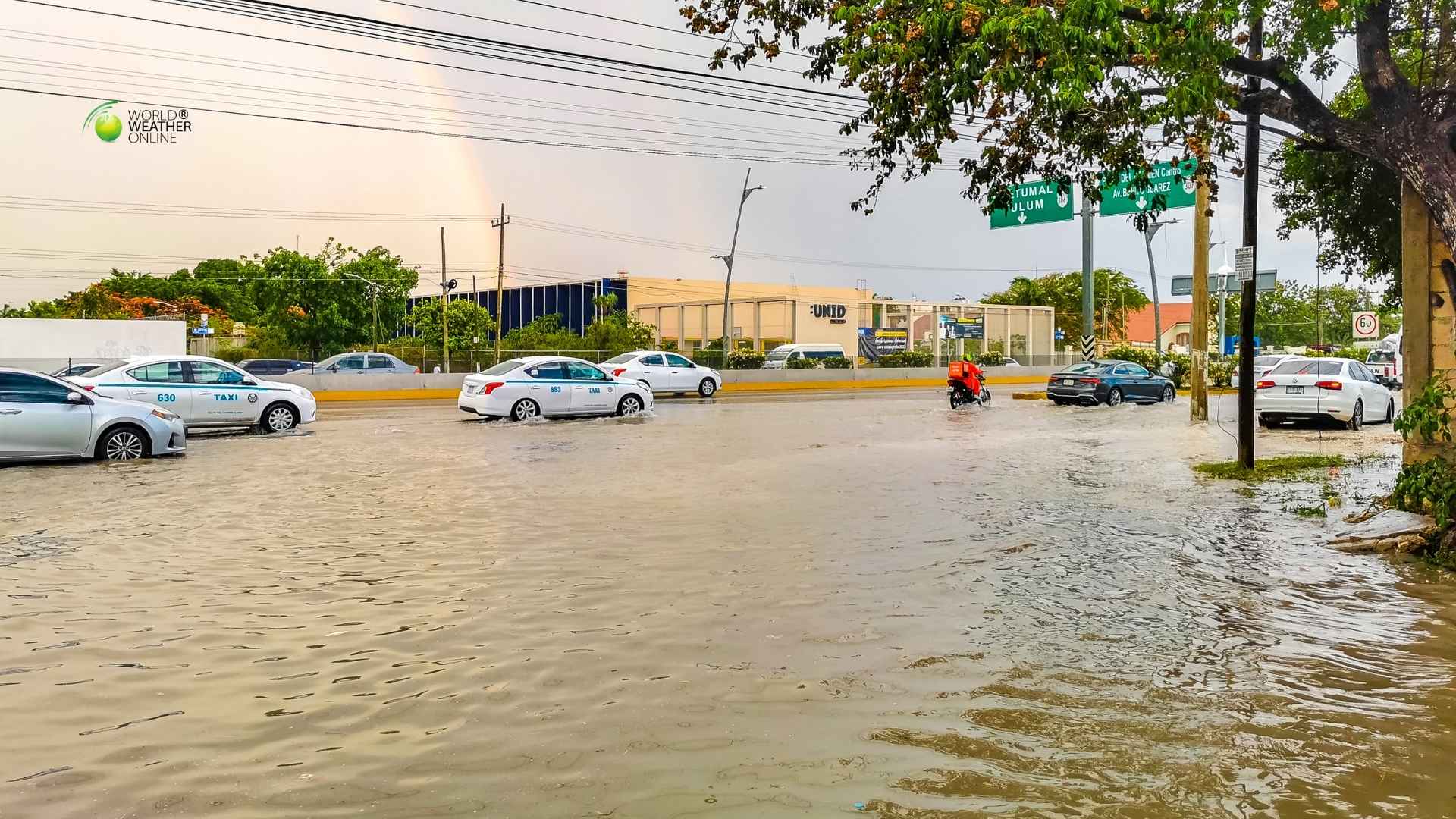 Historic Flooding Submerges Hawaii After Weeks of Relentless Rain