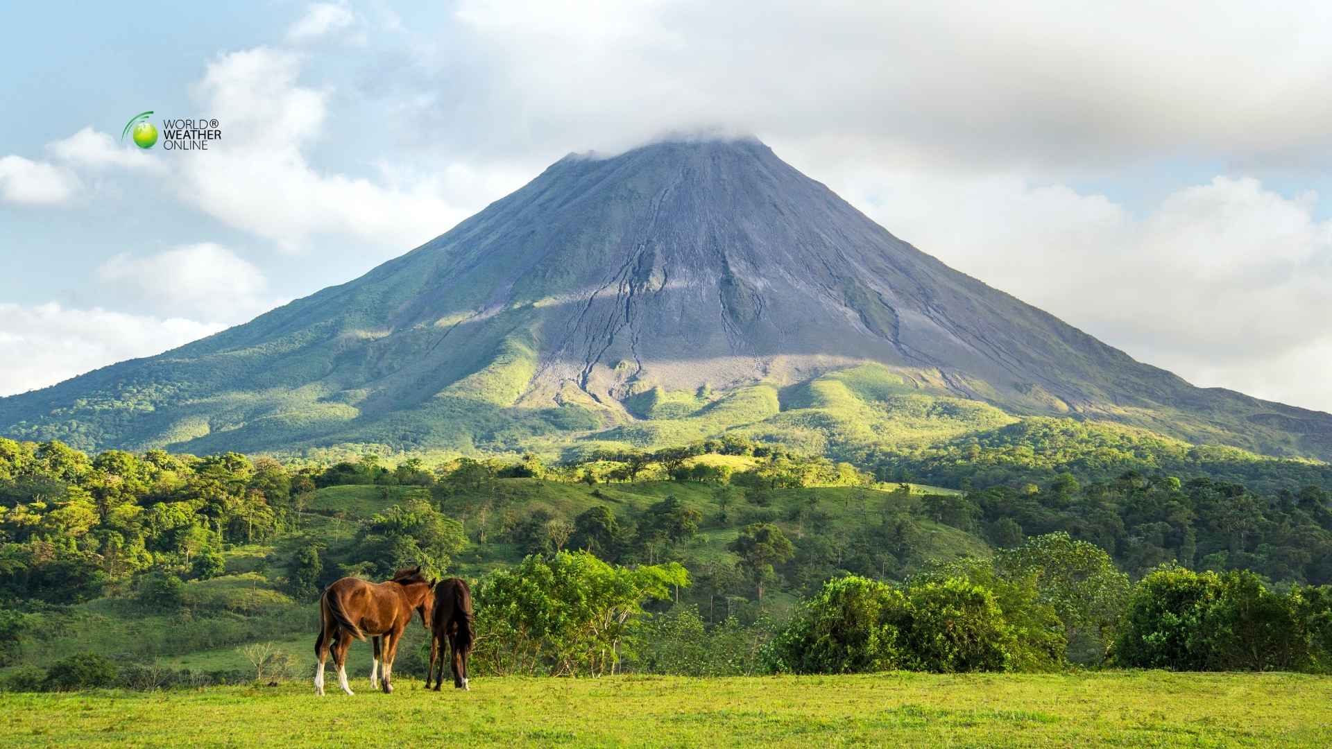 Rainforest Weather Guide: Costa Rica’s Seasonal Patterns for Wildlife Travelers