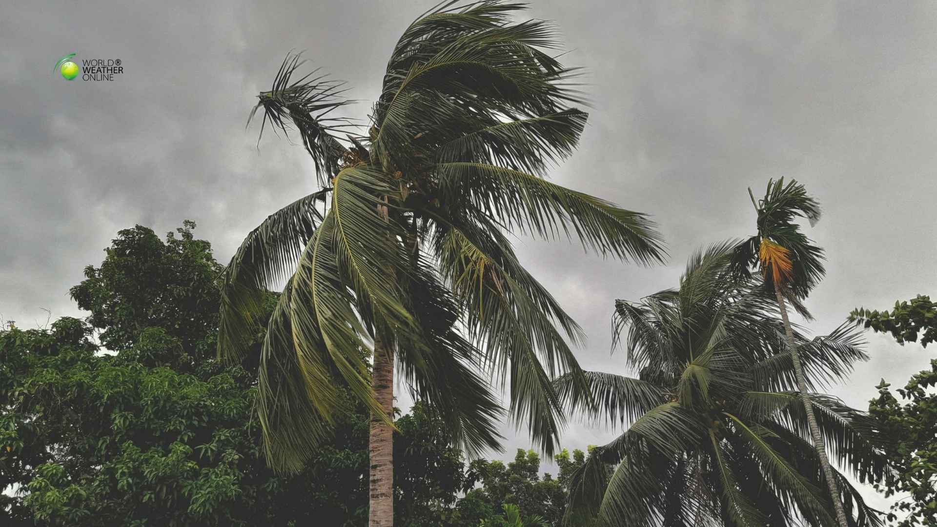 Cyclone Narelle Leaves a Trail of Destruction Across Northern Australia
