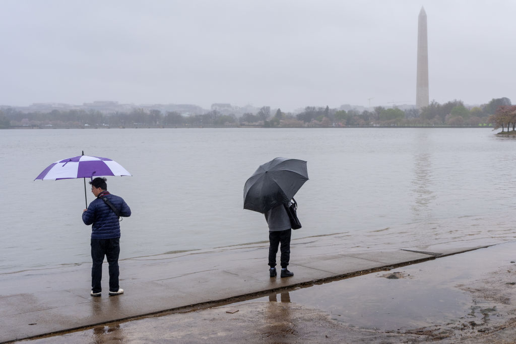 Storms bring hail, strong winds to DC region