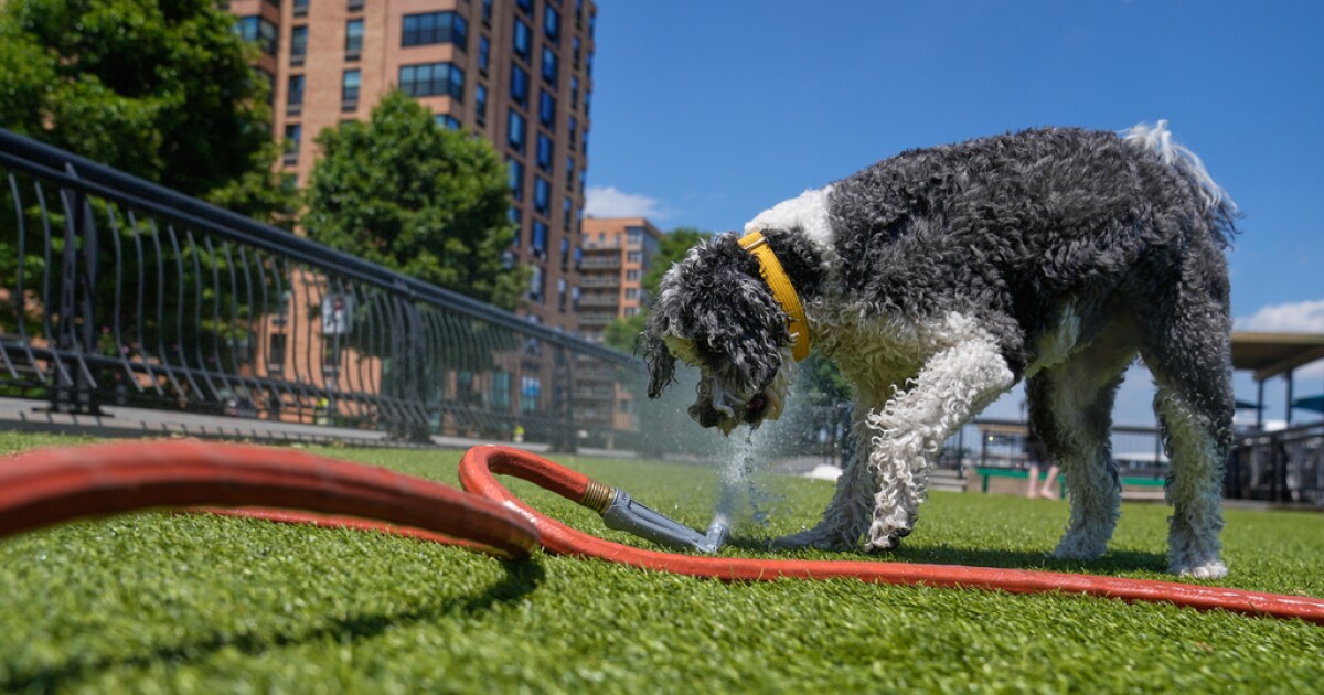 Early-season heatwave bakes Eastern US, sends students home in Philadelphia